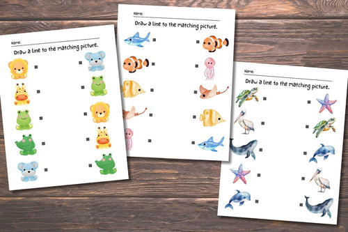 Printable Matching Worksheets, Match the Picture, Kindergarten Preschool Activity, Busybook, Educational Pages
